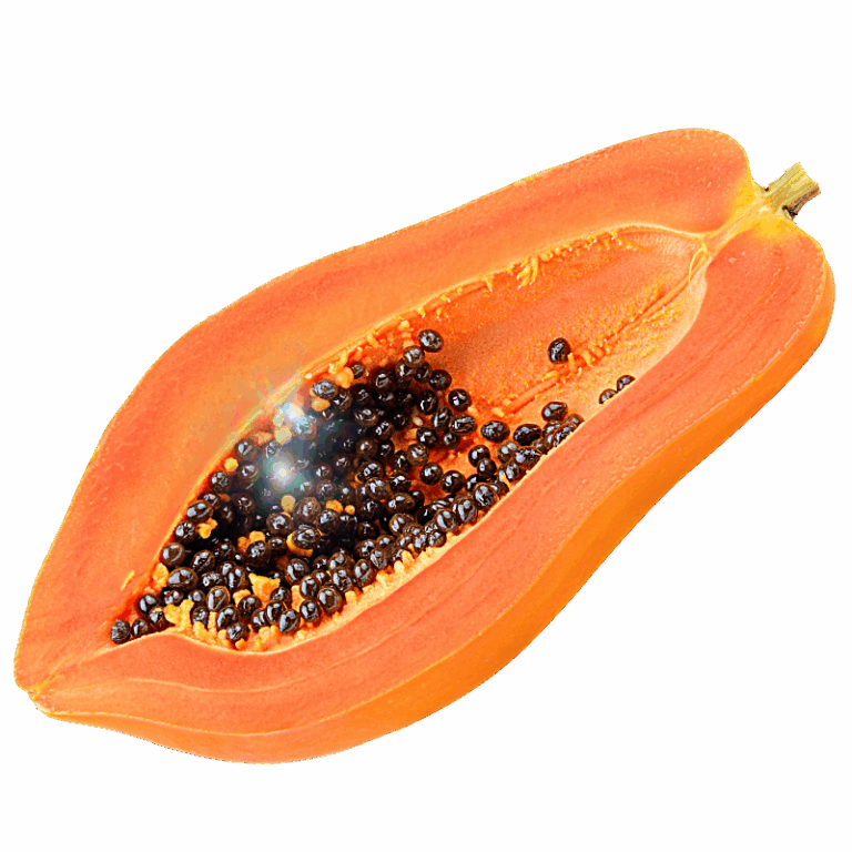 Untitled-4-papaya
