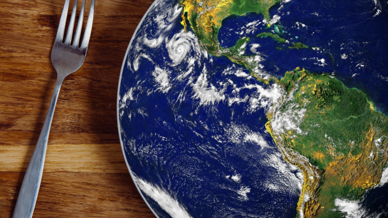 Untitled-1-világkonyha