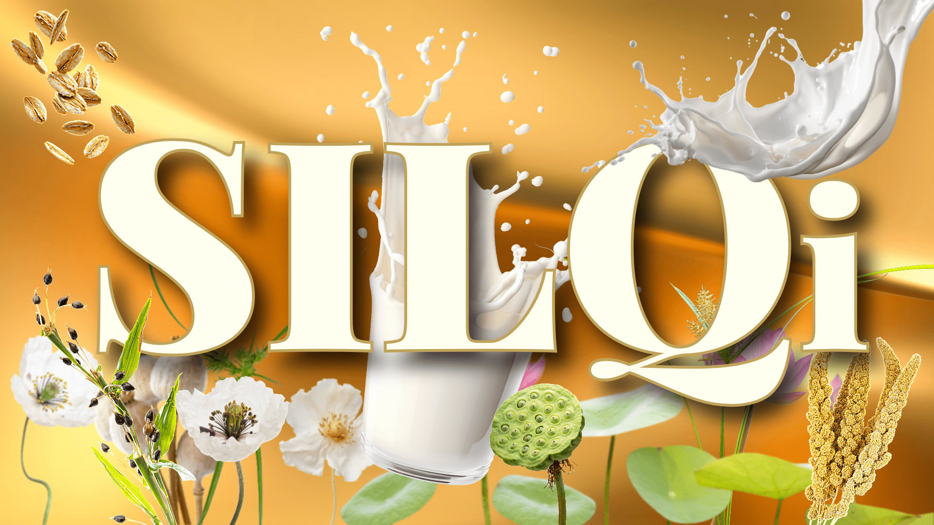 MySILQi – Tej Helyett.